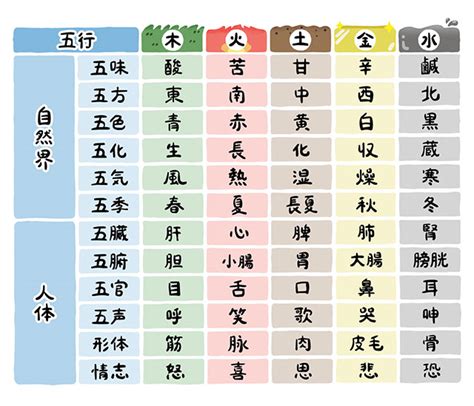 5行 木|五行